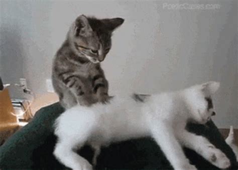 sex massage gif|Massage Gifs